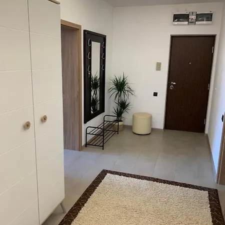 Viktory Apartment Brasov