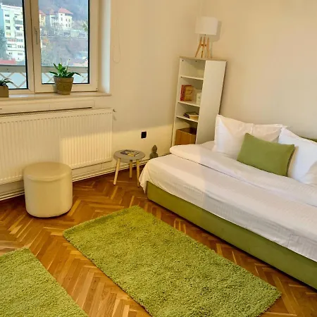 Viktory Apartment Brasov
